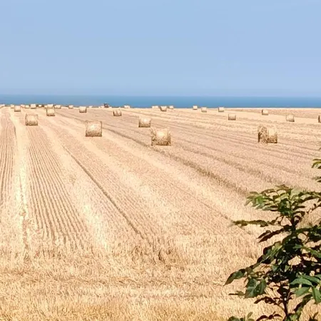 Дом отдыха Karikomi Cauville-Sur-Mer